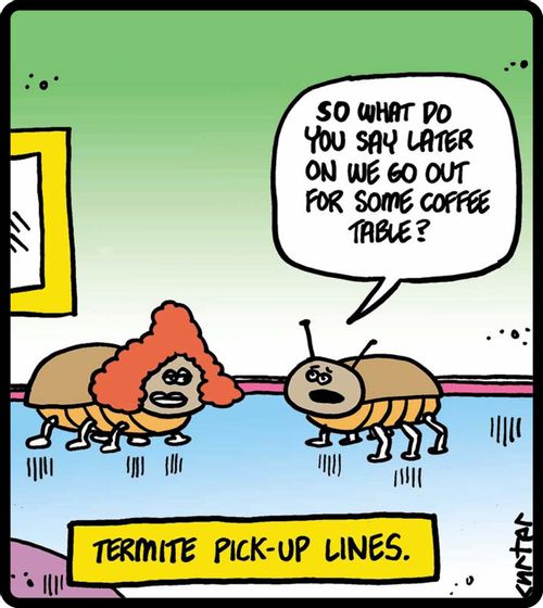 Termite pick-up lines.
