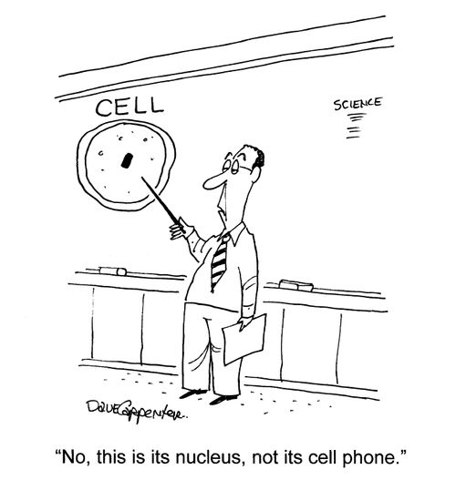 'No, this is its nucleus, not its cell phone.'