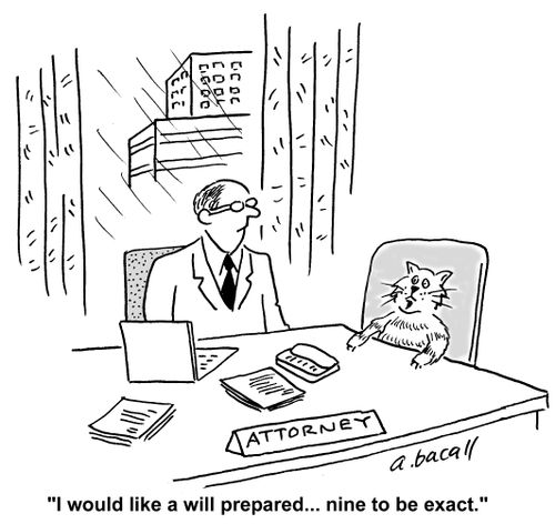 "I would like a will prepared... nine to be exact."