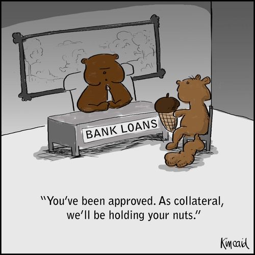 'You've been approved. As collateral, we'll be holding your nuts.'