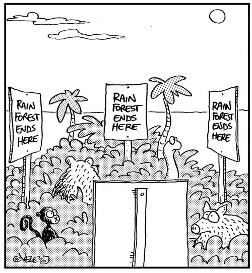 Rain forest ends here.