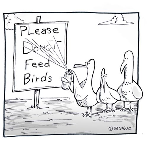 Please (don't) feed Birds.
