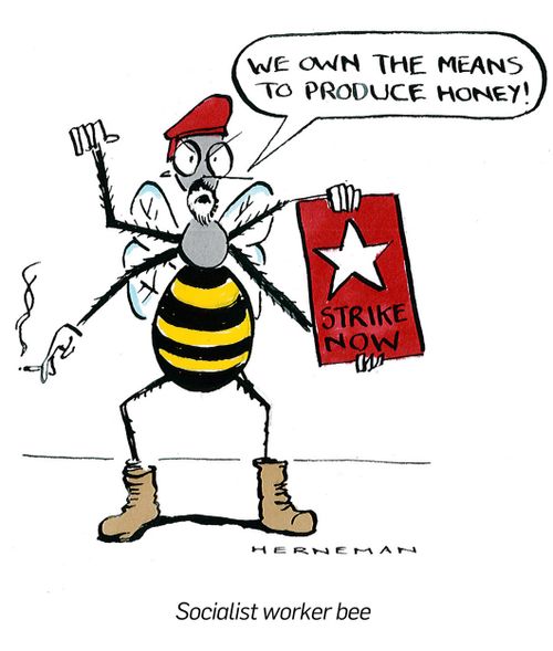 Socialist worker bee