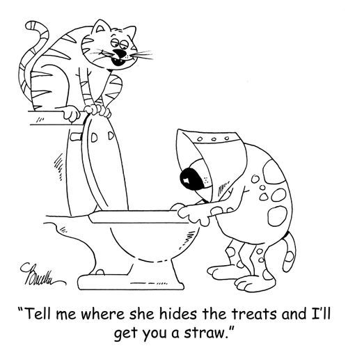 'Tell me where she hides the treats and I'll get you a straw.'