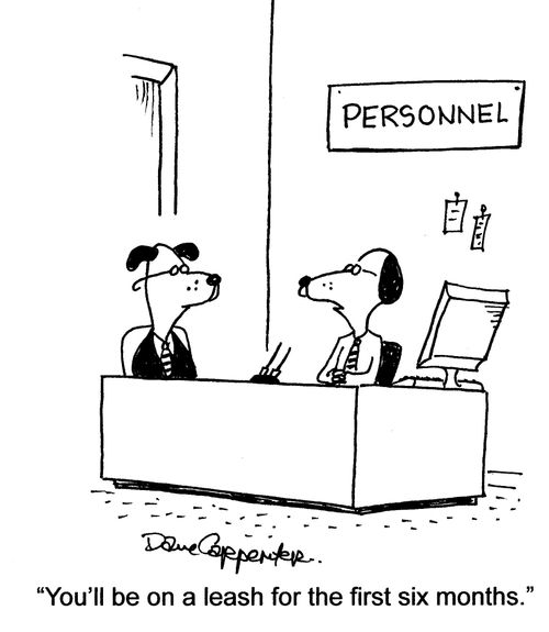 'You'll be on a leash for the first six months.'
