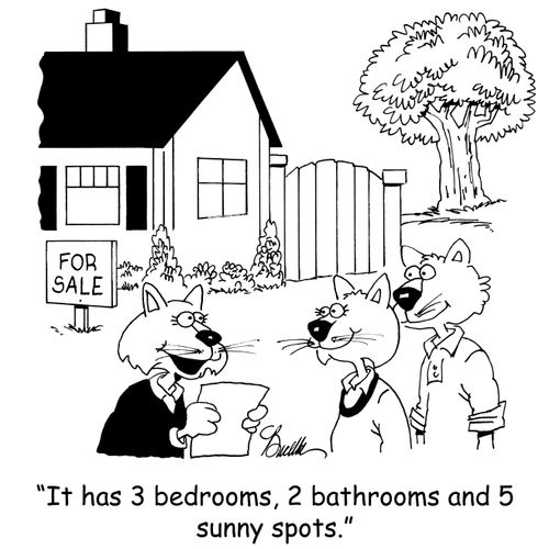 'It has 3 bedrooms, 2 bathrooms and 5 sunny spots.'