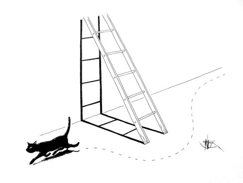 Black cat avoids walking under a ladder to avoid bad luck.