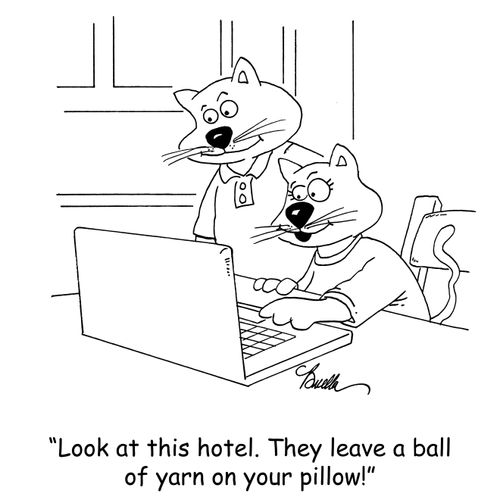 'look at this hotel. They leave a ball of yarn on your pillow!'