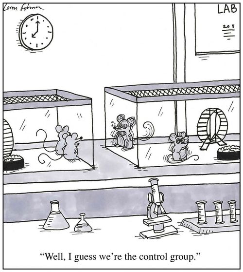 'Well, I guess we're the control group.'