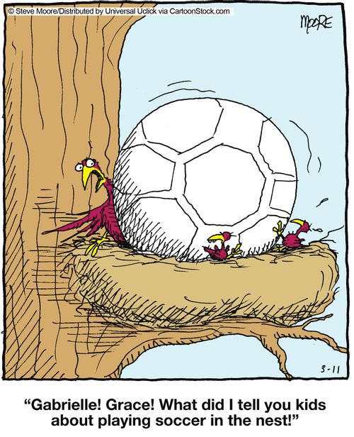 'Gabrielle! Grace! What did I tell you kids about player soccer in the nest!'