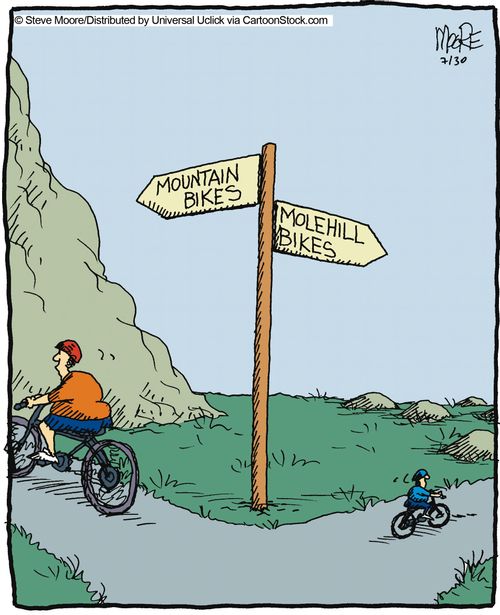 Mountain bikes and molehill bikes.
