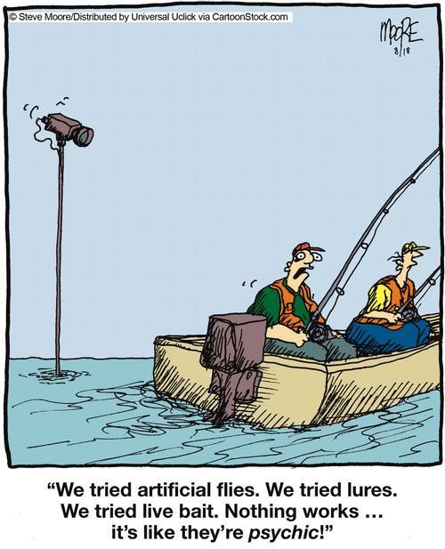 'We tried artificial flies. We tried lures. We tried live bait. Nothing works...'