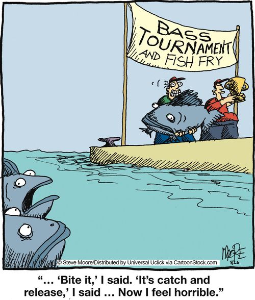 '... 'Bite it,' I said. 'It's catch and release,' I said ... Now I feel horrible.'
