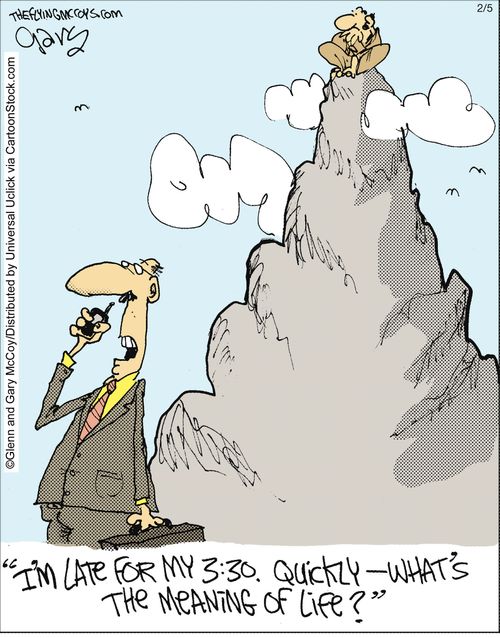 'I'm late for my 3:30. Quickly - what's the meaning of life?'