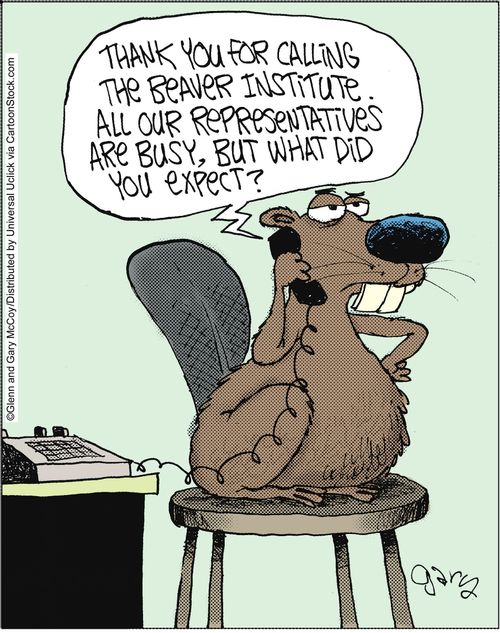 'Thank you for calling the beaver institute. All our representatives are busy, but what did you expect?'
