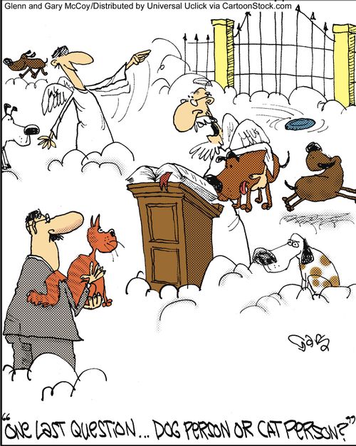 'One last question... Dog person or cat person?'