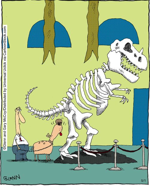 Dog sniffs skeleton.