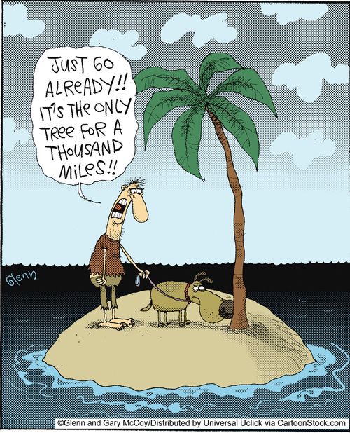 'Just go already! It's the only tree for a thousand miles.'