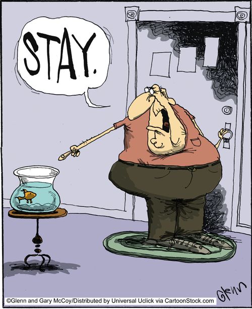 'Stay.'