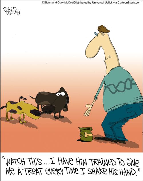 'Watch this... I have him trained to give me a treat every time I shake his hand.'