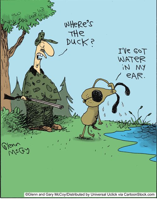 'Where's the duck?'