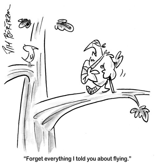 'Forget everything I told you about flying.'