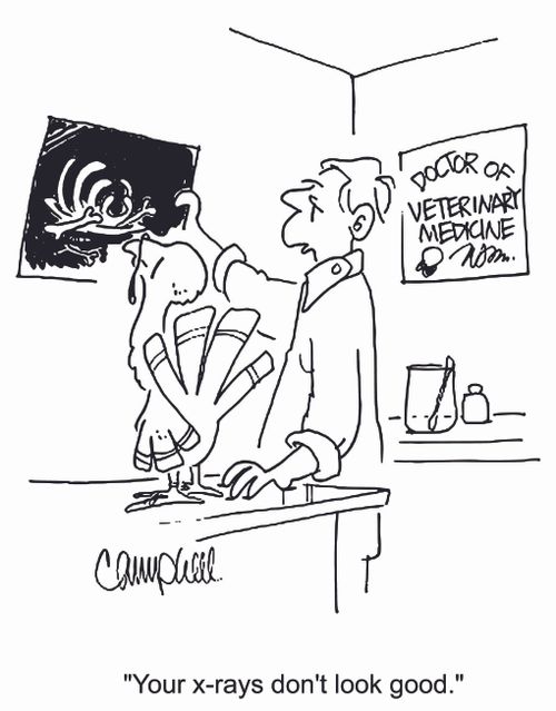 'Your x-rays don't look good.'