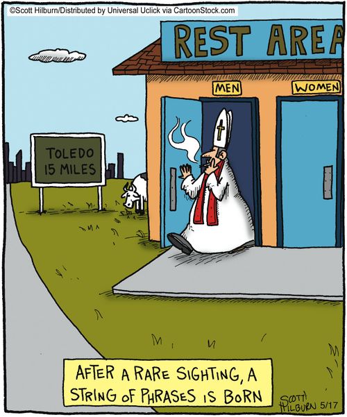 After a rare sighting, a string of phrases is born,