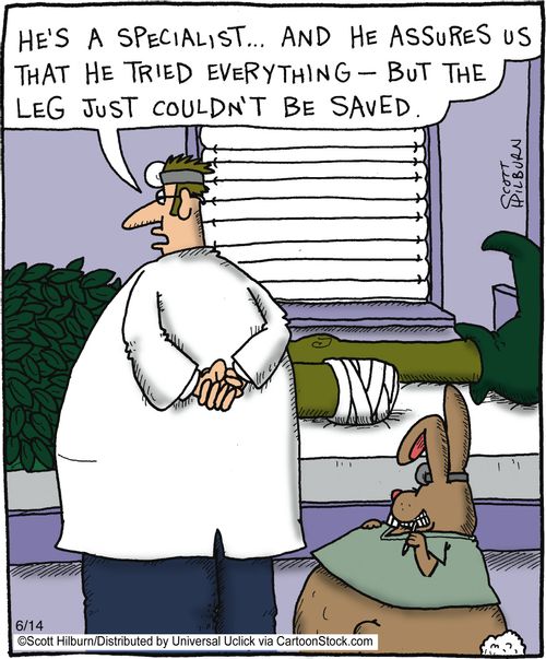 'He's a specialist,,, And he assures us that he tried everything - but the leg just couldn't be saved,' 