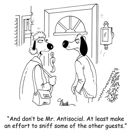 'And don't be Mr. Antisocial. At least make an effort to sniff some of the other guests.'