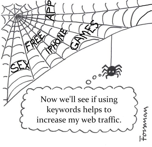 'Now we'll see if using keywords helps to increase my web traffic.'