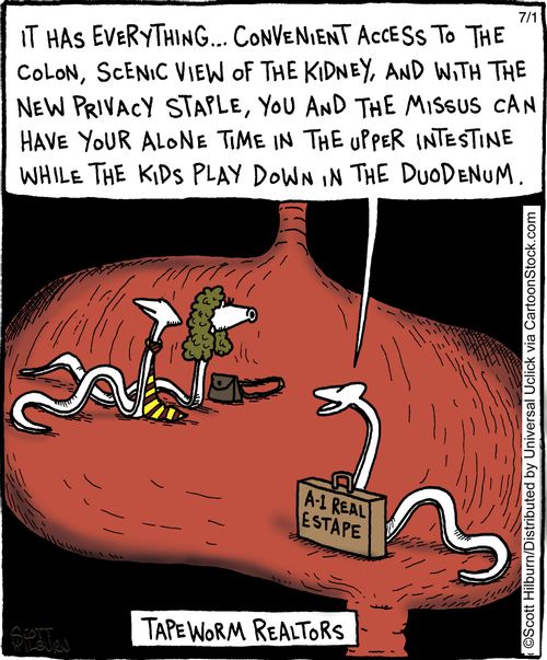 Tapeworm Realtors.