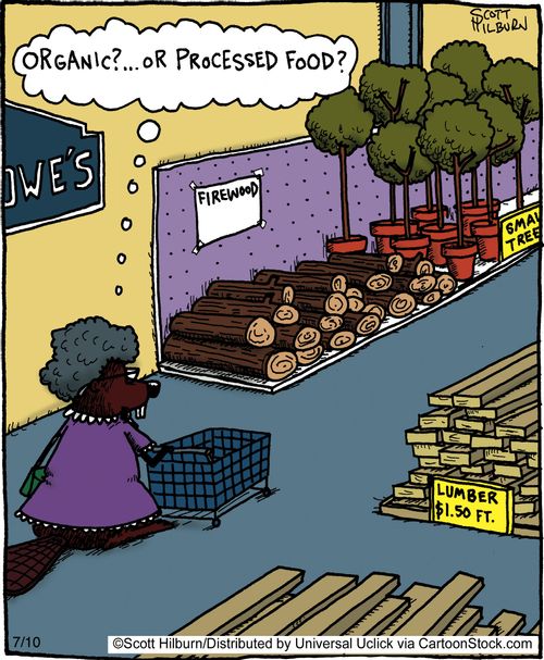 Organic?... Or processed food?