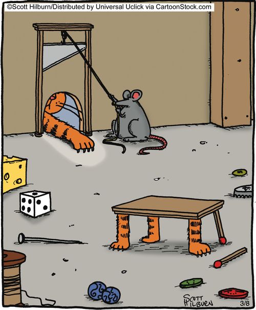 Cat Trap,