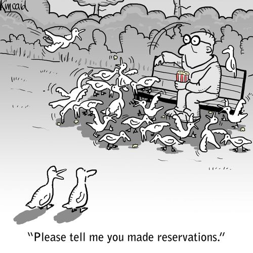 'Please tell me you made reservations.'