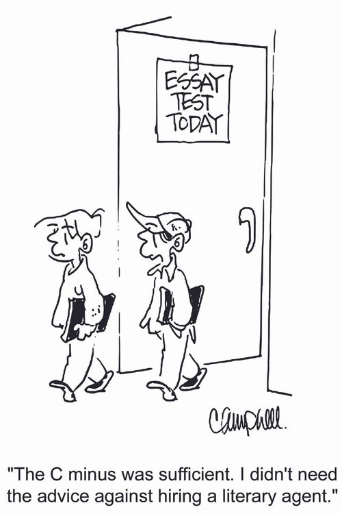 'The C minus was sufficient. I didn't need the advice against hiring a literary agent.'
