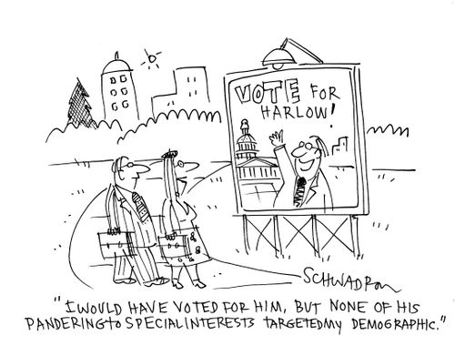 'I would have voted for him, but none of his pandering to special interests targeted my demographic.'