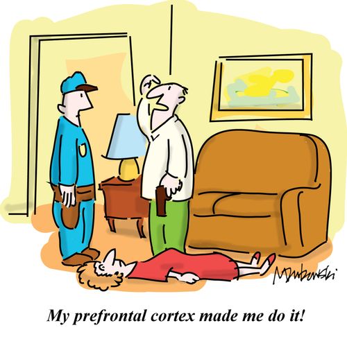 'My prefrontal cortex made me do it!'