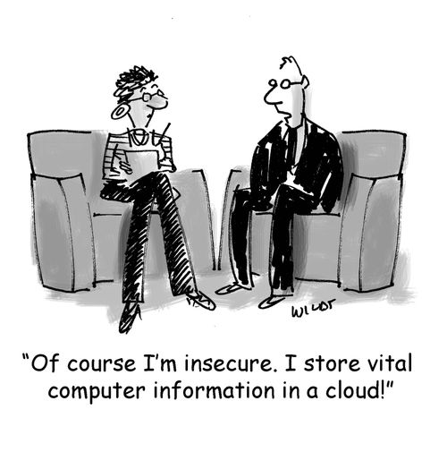 'Of course I'm insecure. I store vital computer information in a cloud.'