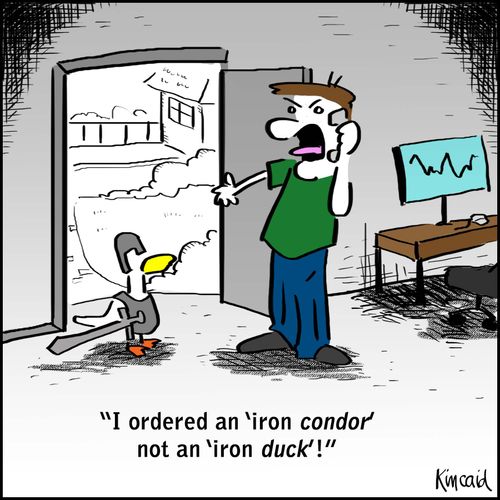 'I ordered an 'iron condor' not an 'iron duck'!'
