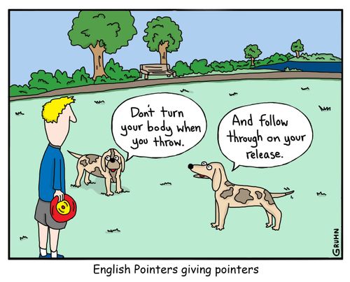 English Pointers giving pointers.