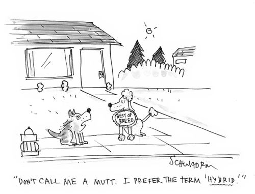'Don't call me mutt. I prefer the term 'hybrid.'