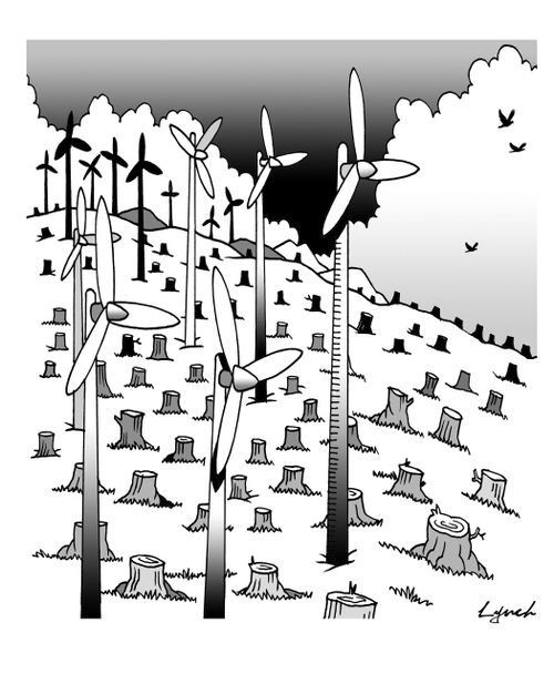 Wind Farm where a forest once stood.