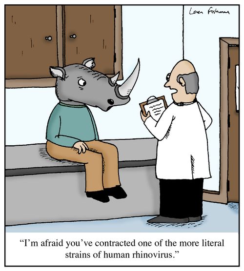 'I'm afraid you've contracted one of the more literal strains of human rhinovirus.'