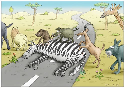 Zebra Crossing
