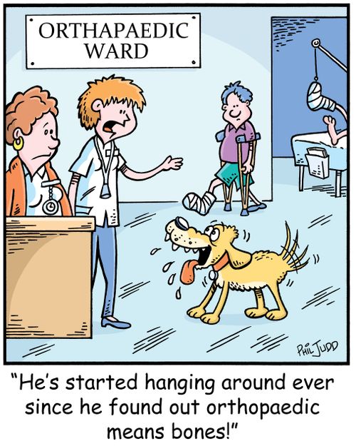 'He's started hanging around ever since he found out orthopaedic means bones!'