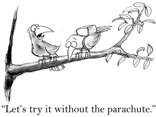 'Let's try it once without the parachute.'