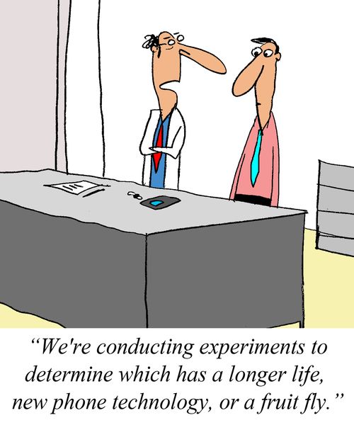 'We're conducting experiments to dertermine which has a longer life, new phone technology, or a fruit fly.'