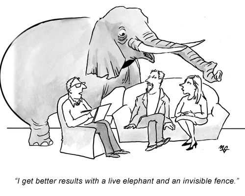 'I get better results with a live elephant and an invisible fence.'