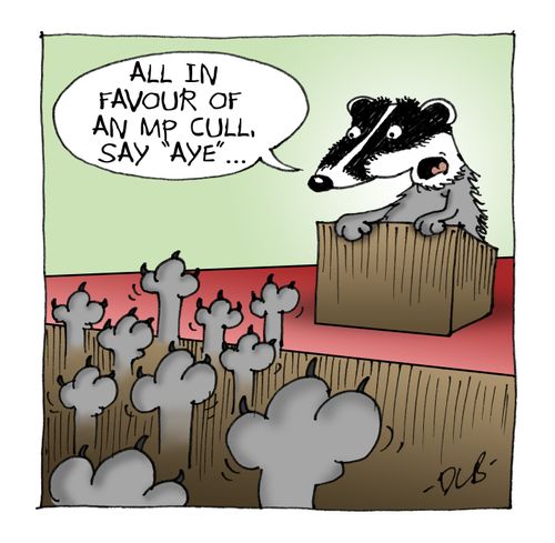 'All in favour of an MP cull, say 'aye'...'